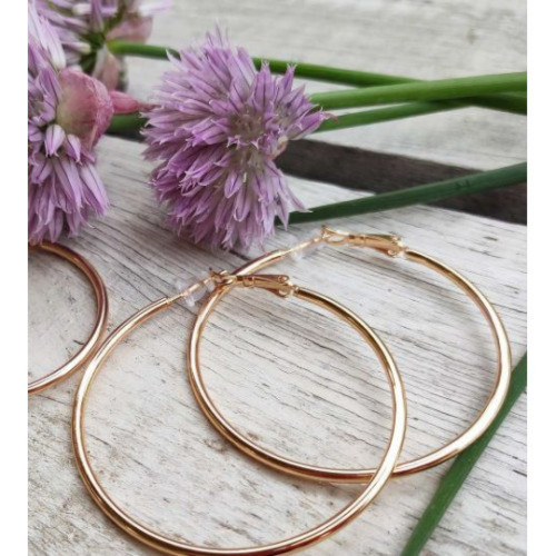 Сережки кільця 5,5см