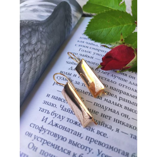 Сережки пластини Сережки пластини