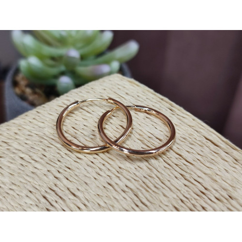 Сережки кільця 2,5см