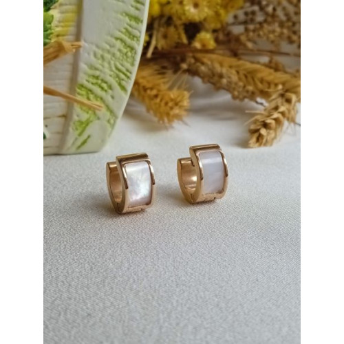 Сережки кільця сталь