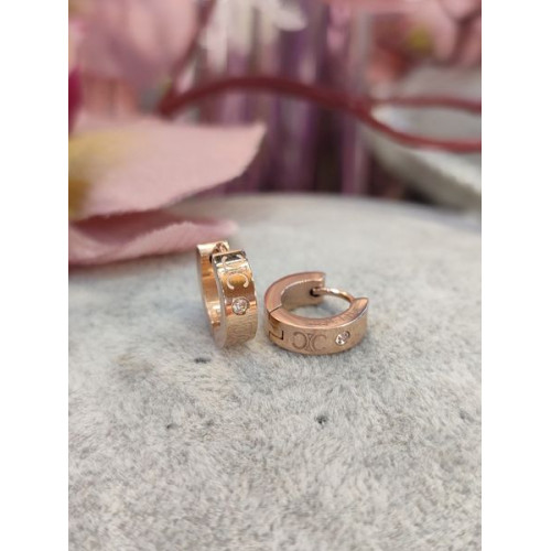Сережки кільця сталь