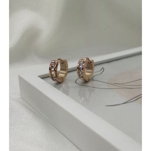 Сережки кільця сталь