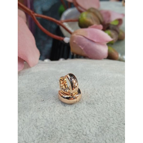 Сережки кільця
